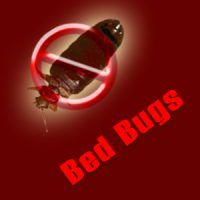 Exterminate Bed Bugs