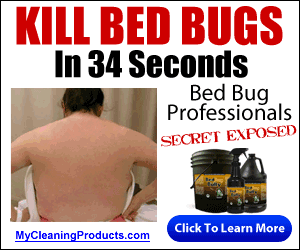 Get Rid of Bed Bugs