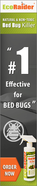Eco Raider Bed Bug Removal