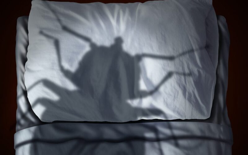 Bed bug fear or bedbug worry concept as a cast shadow of a a parasitic insect pest resting on a pillow and sheets as a symbol and metaphor for the anxiety horror and danger of a bloodsucking parasite living inside your mattress.