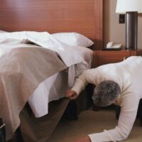 How to spot bedbugs in hotel room - tourists share tips | Travel News | Travel